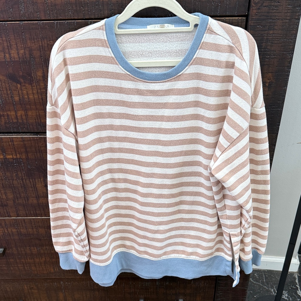Z Supply Blue And Cream Sweatshirt Size S